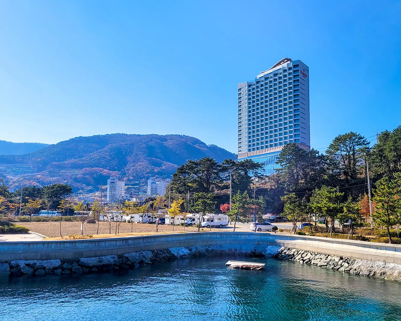 대표 사진