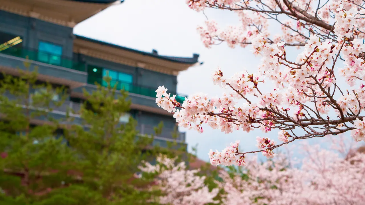 태백호텔 사진