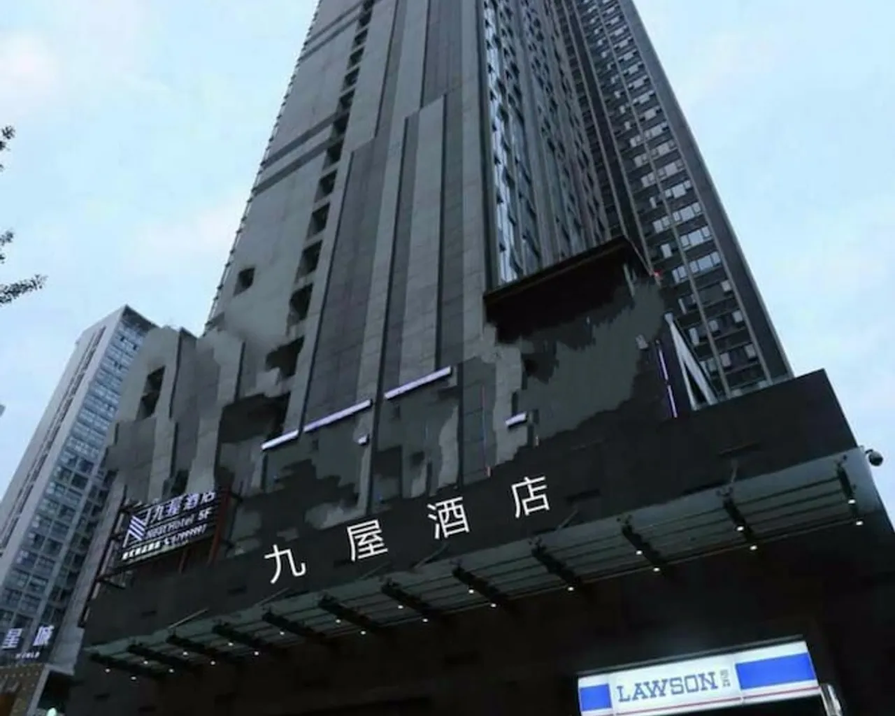 기본 이미지