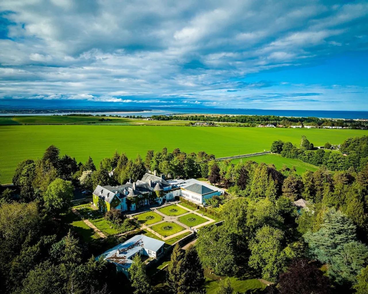 기본 이미지