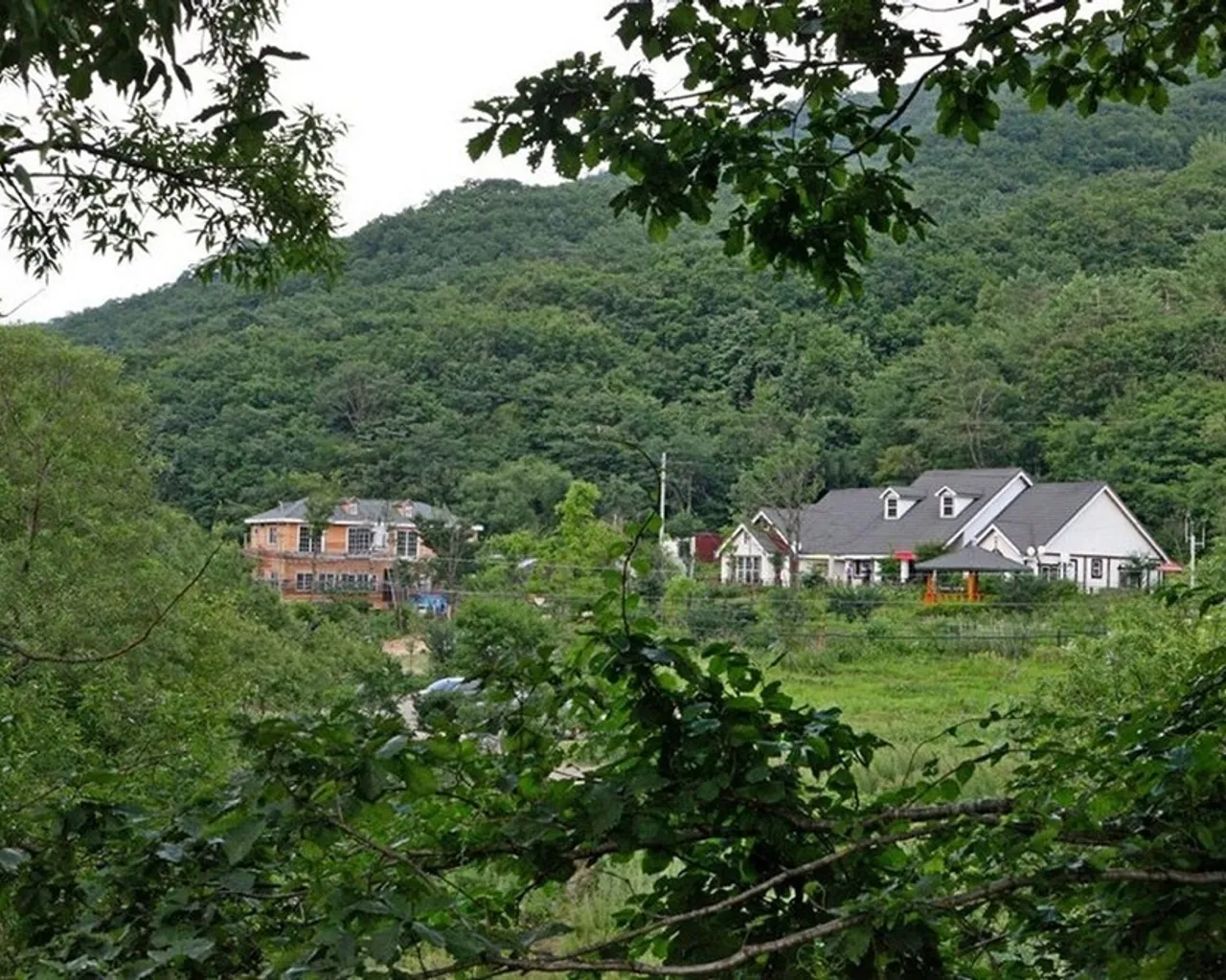 대표 사진