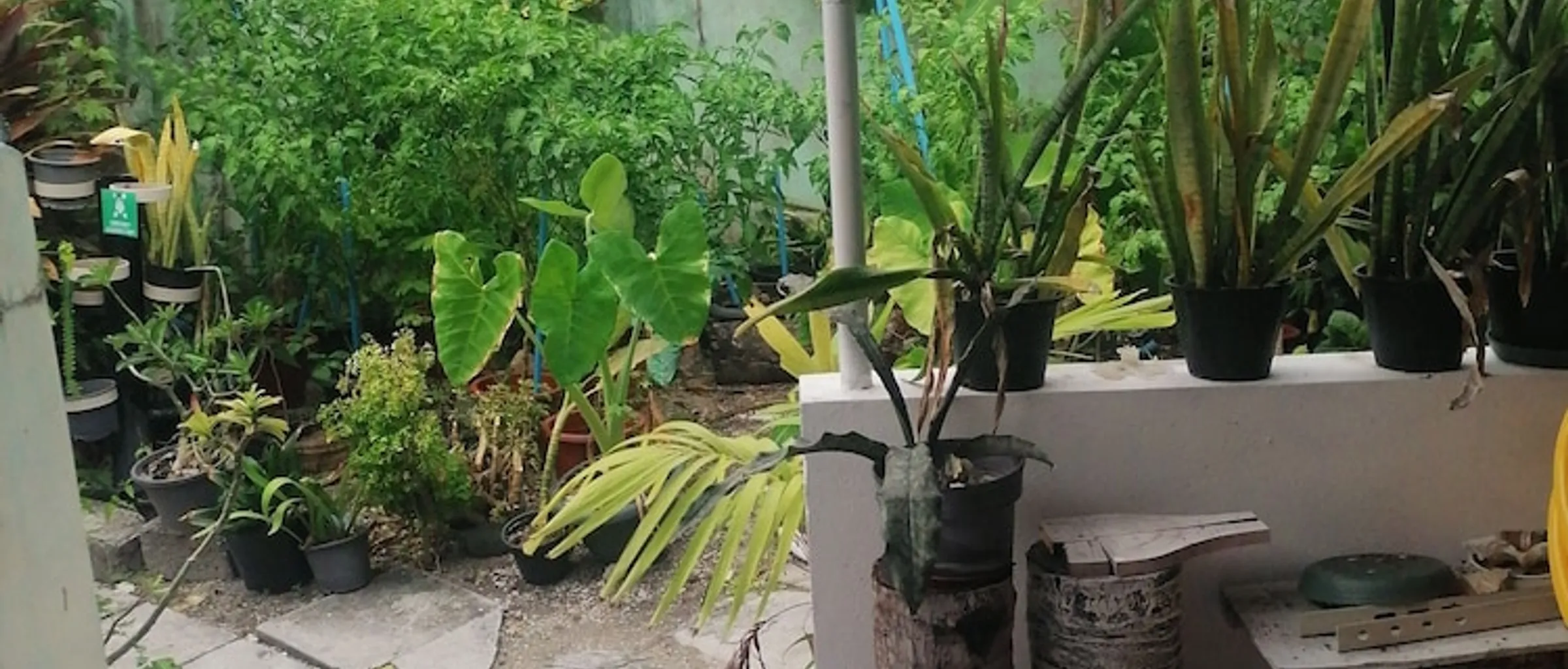 외관