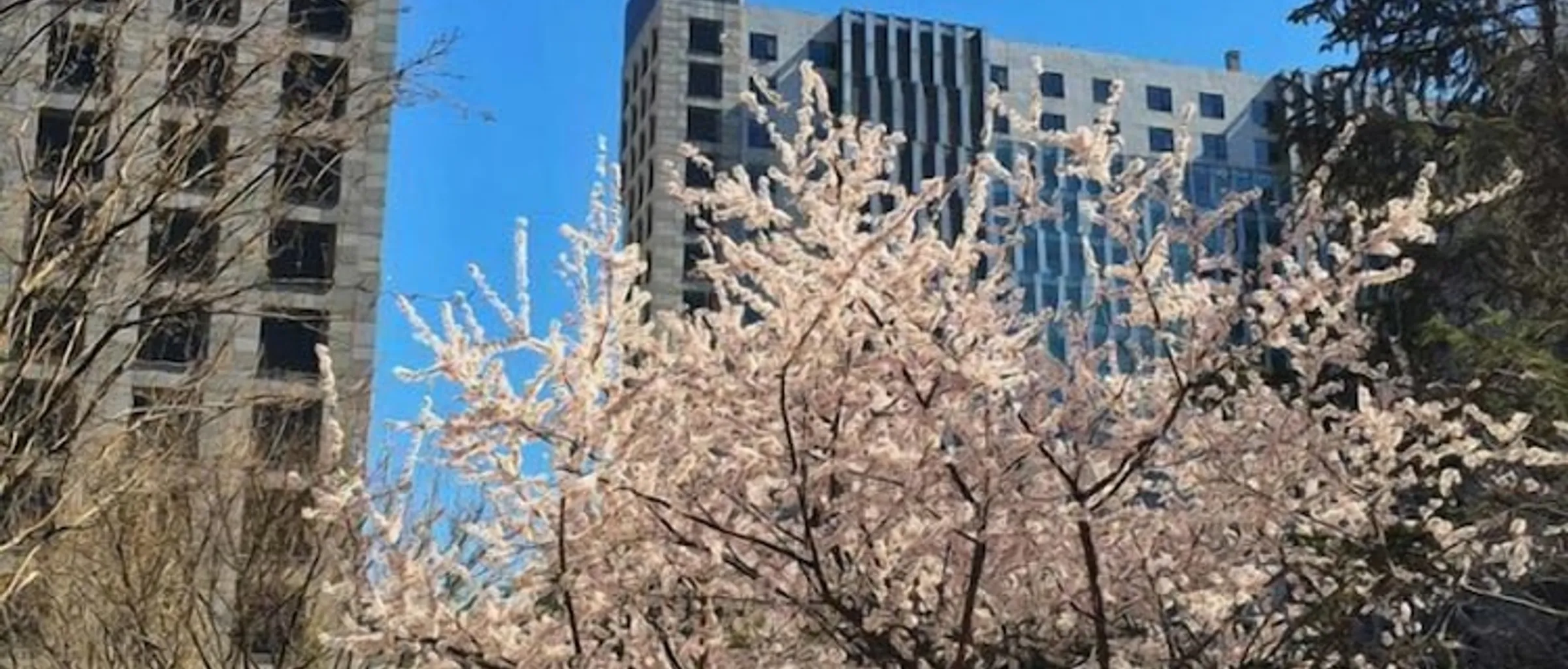 기본 이미지