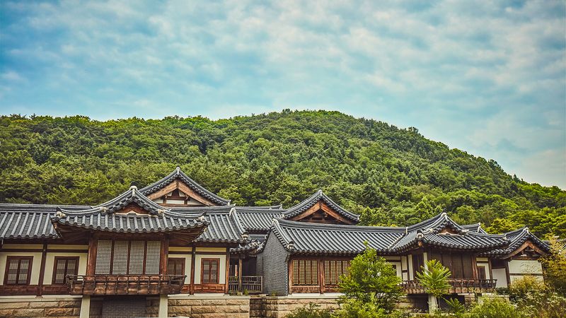 전경
