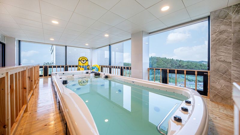 대표사진