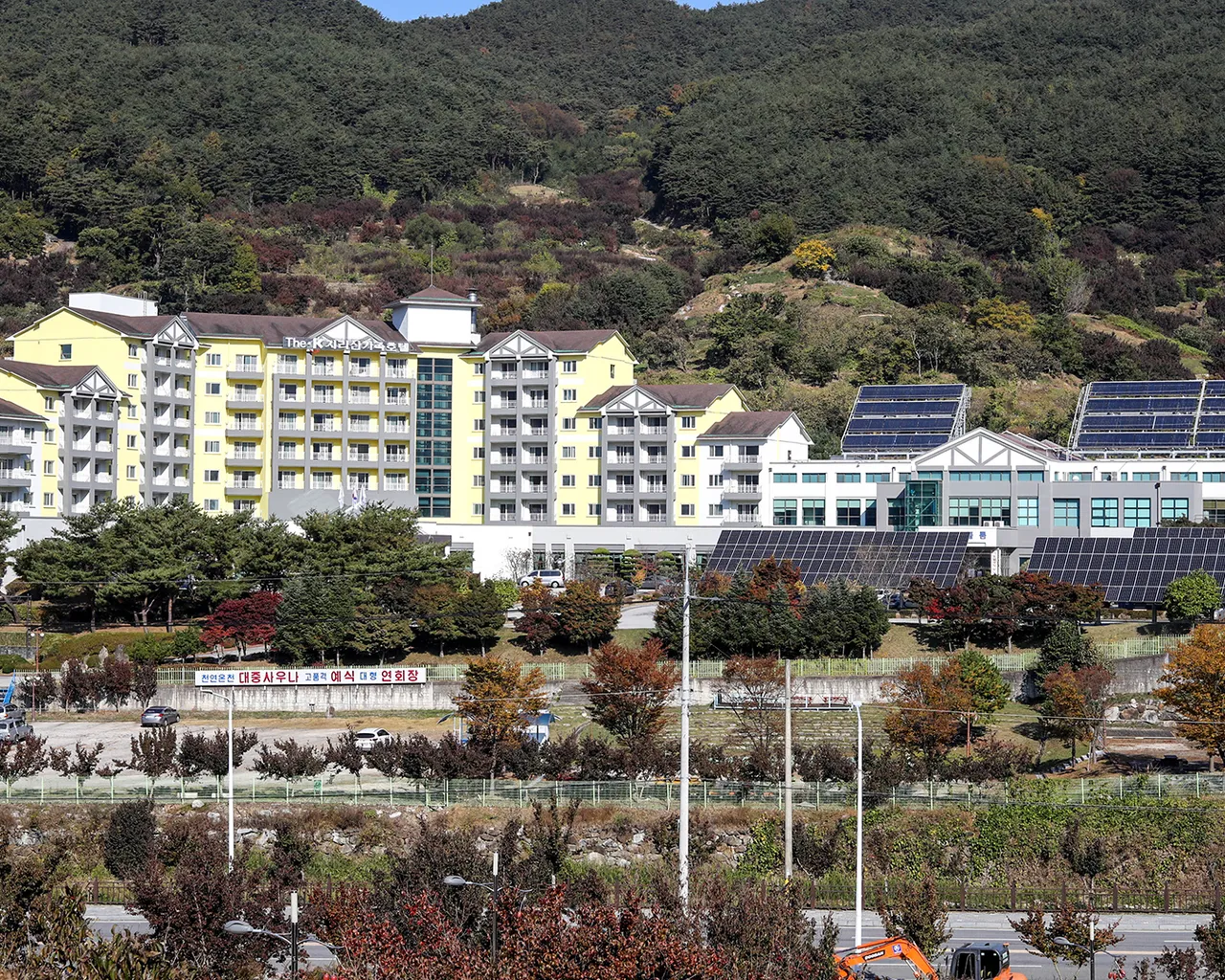 대표 사진