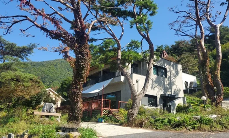 단양 갤러리하우스 펜션