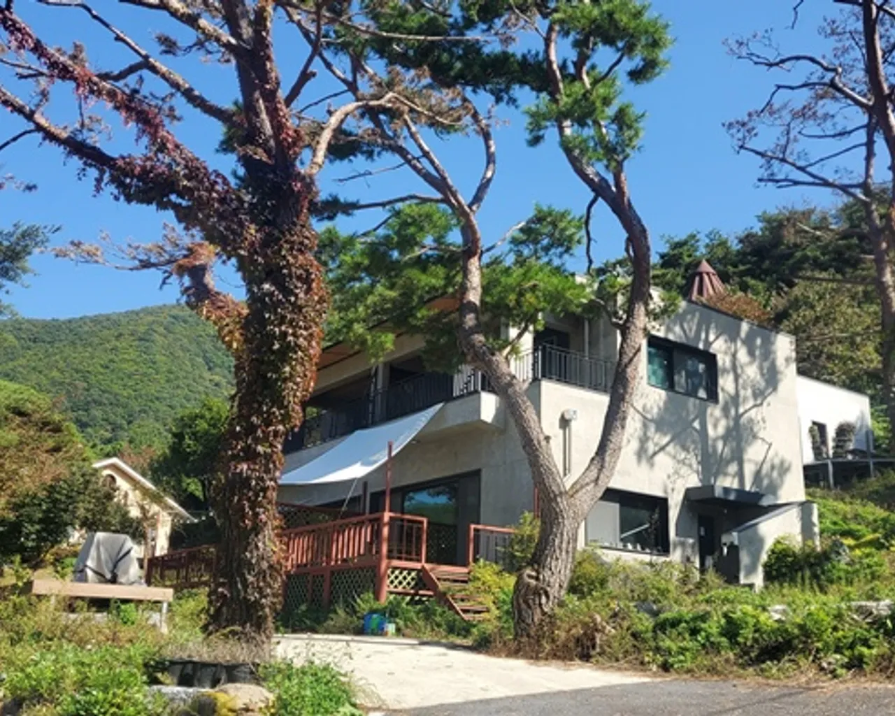 대표 사진