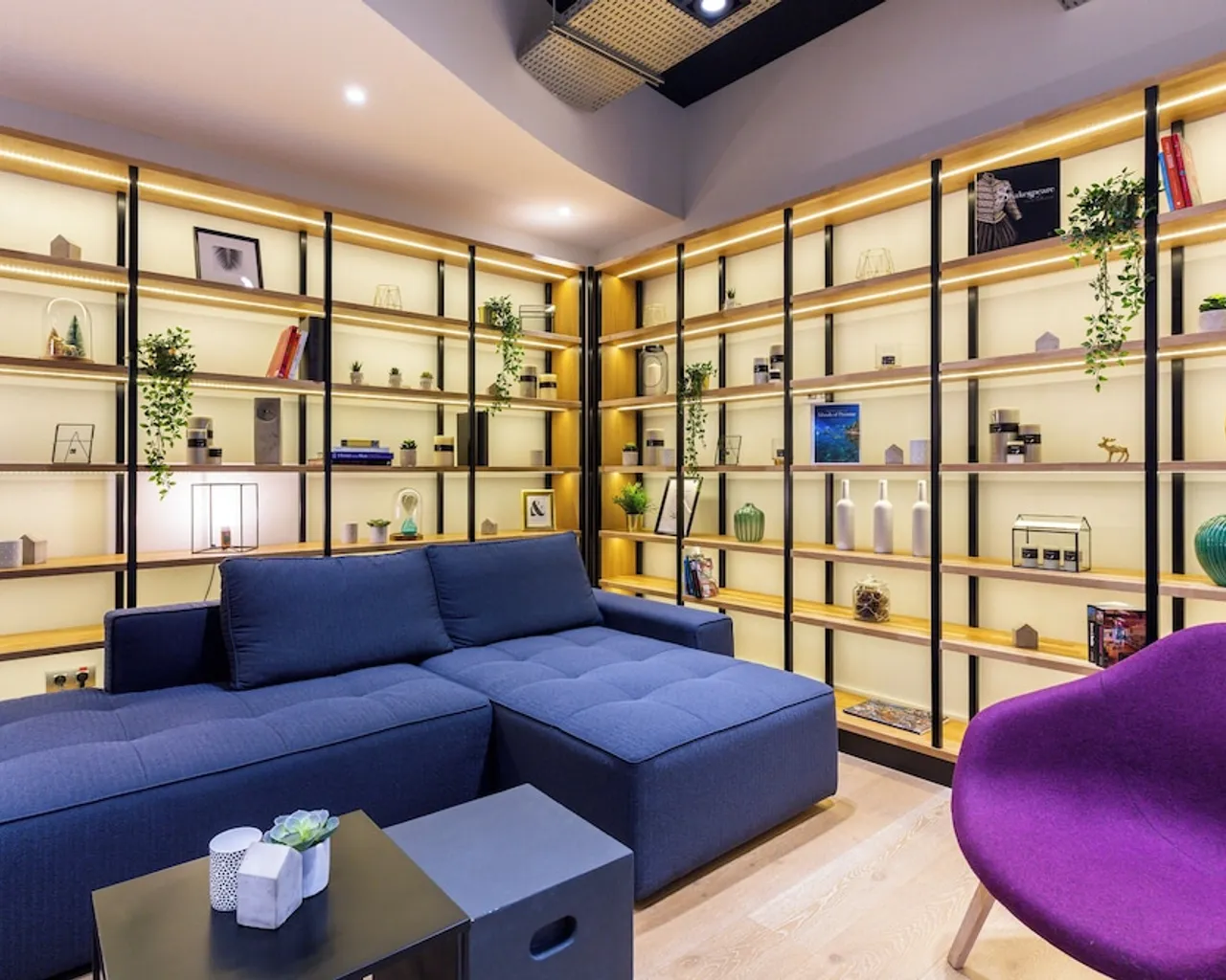 기본 이미지