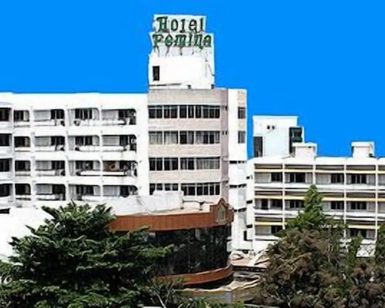 기본 이미지