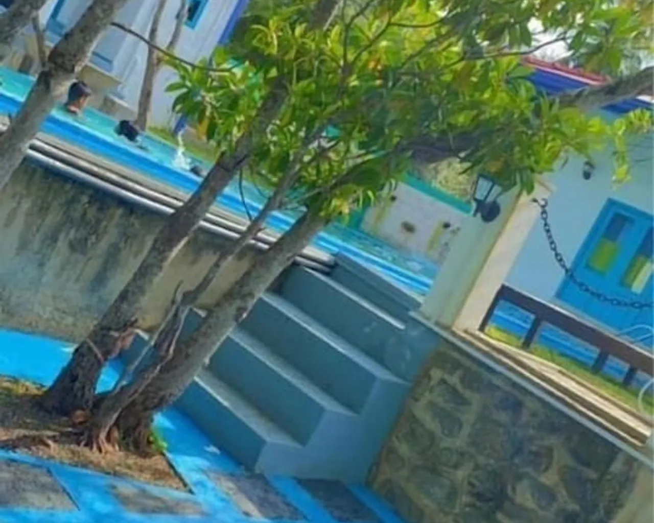 기본 이미지