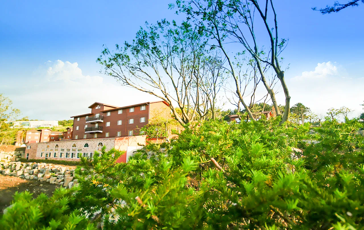 제주 아르본리조트 사진