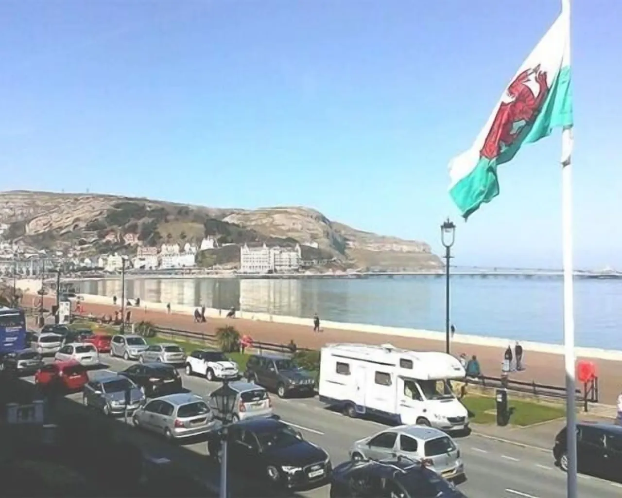 기본 이미지
