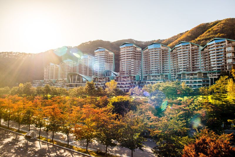 전경