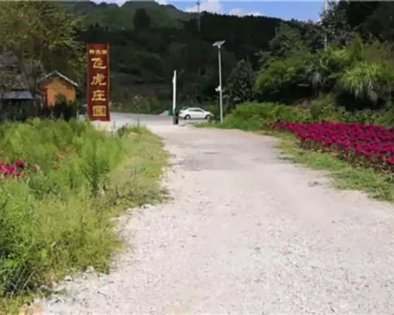기본 이미지