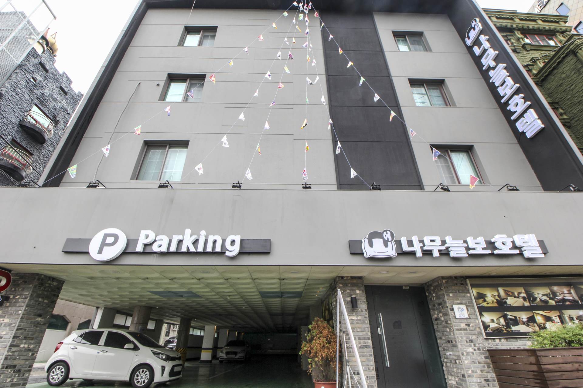 사상 나무늘보