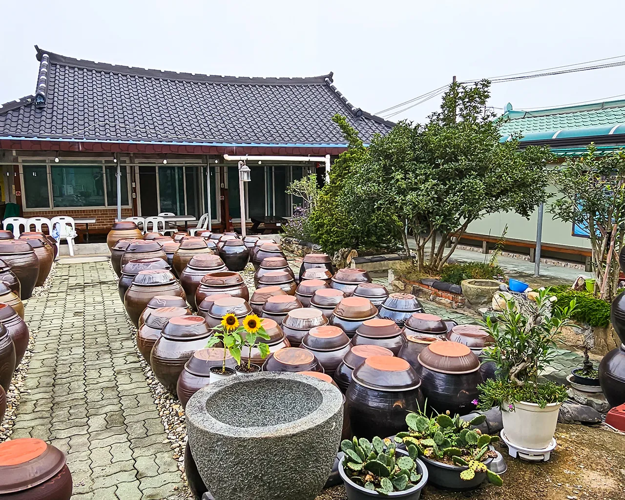 대표 사진