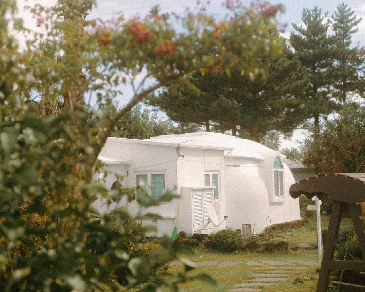 대표 사진