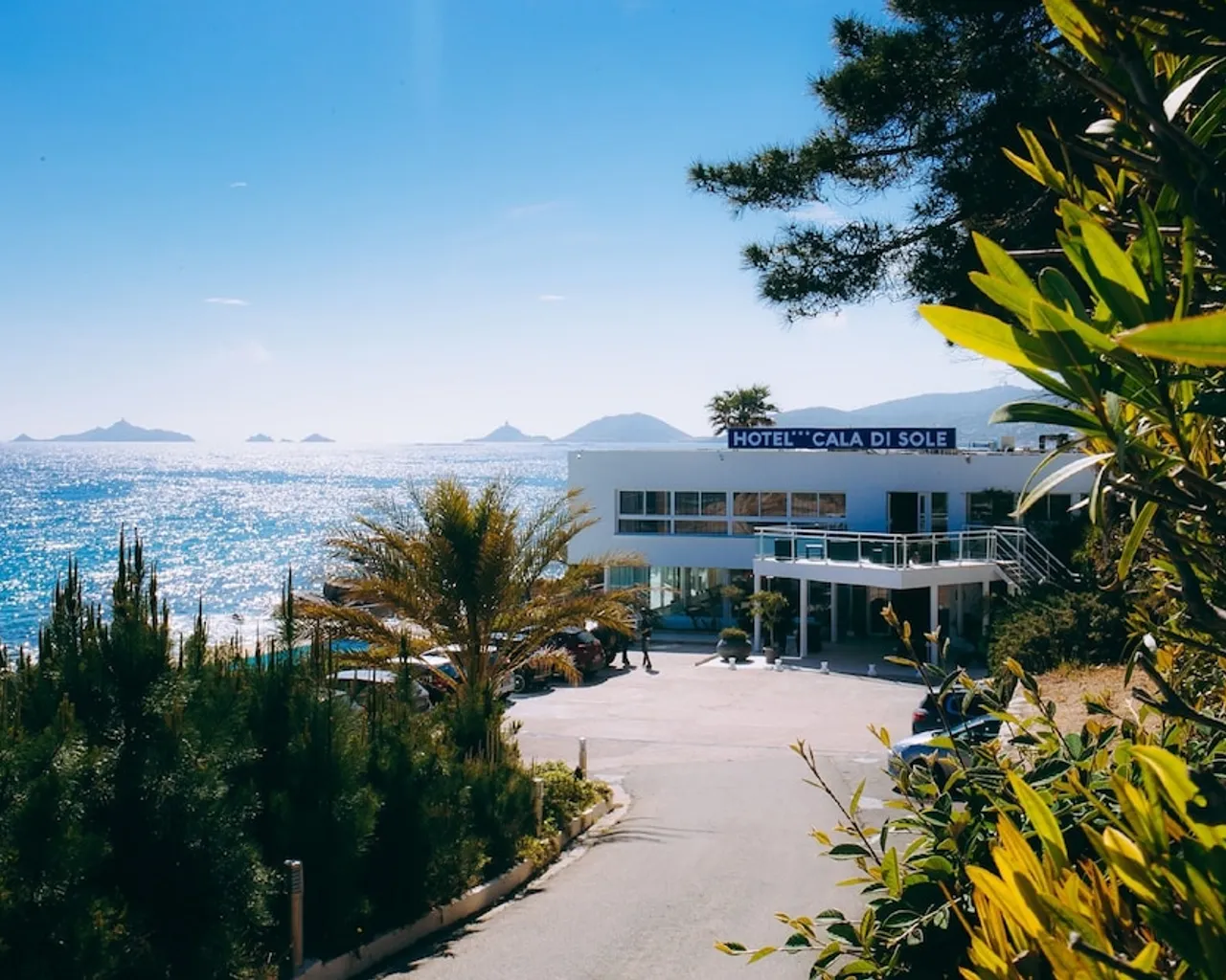 기본 이미지