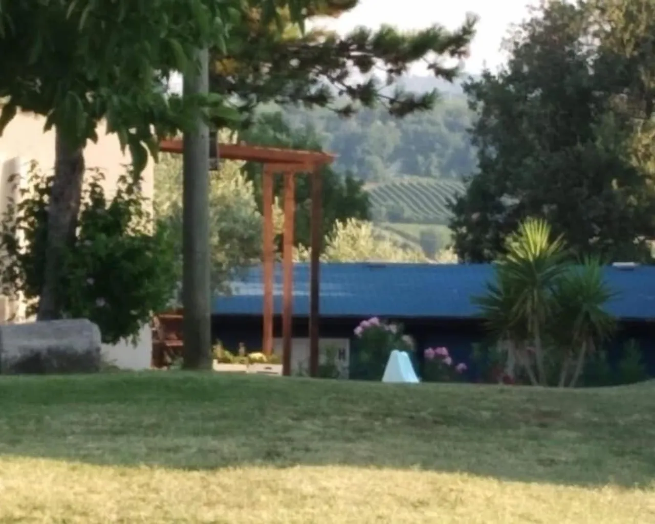기본 이미지