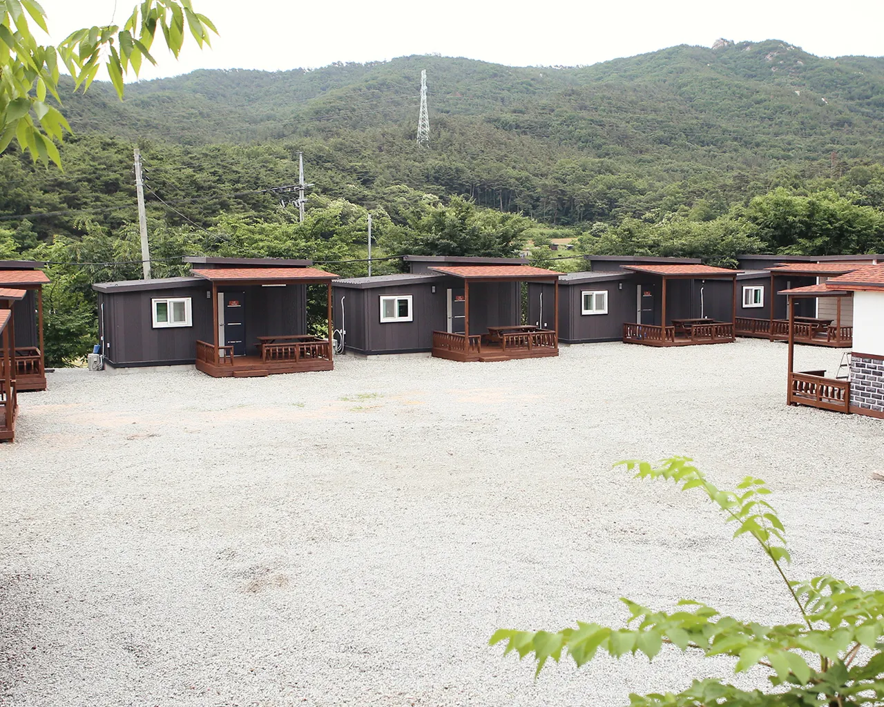 대표 사진