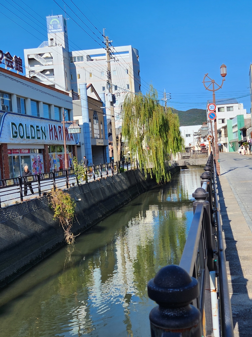 토요 코인 대마도 (98) 사진