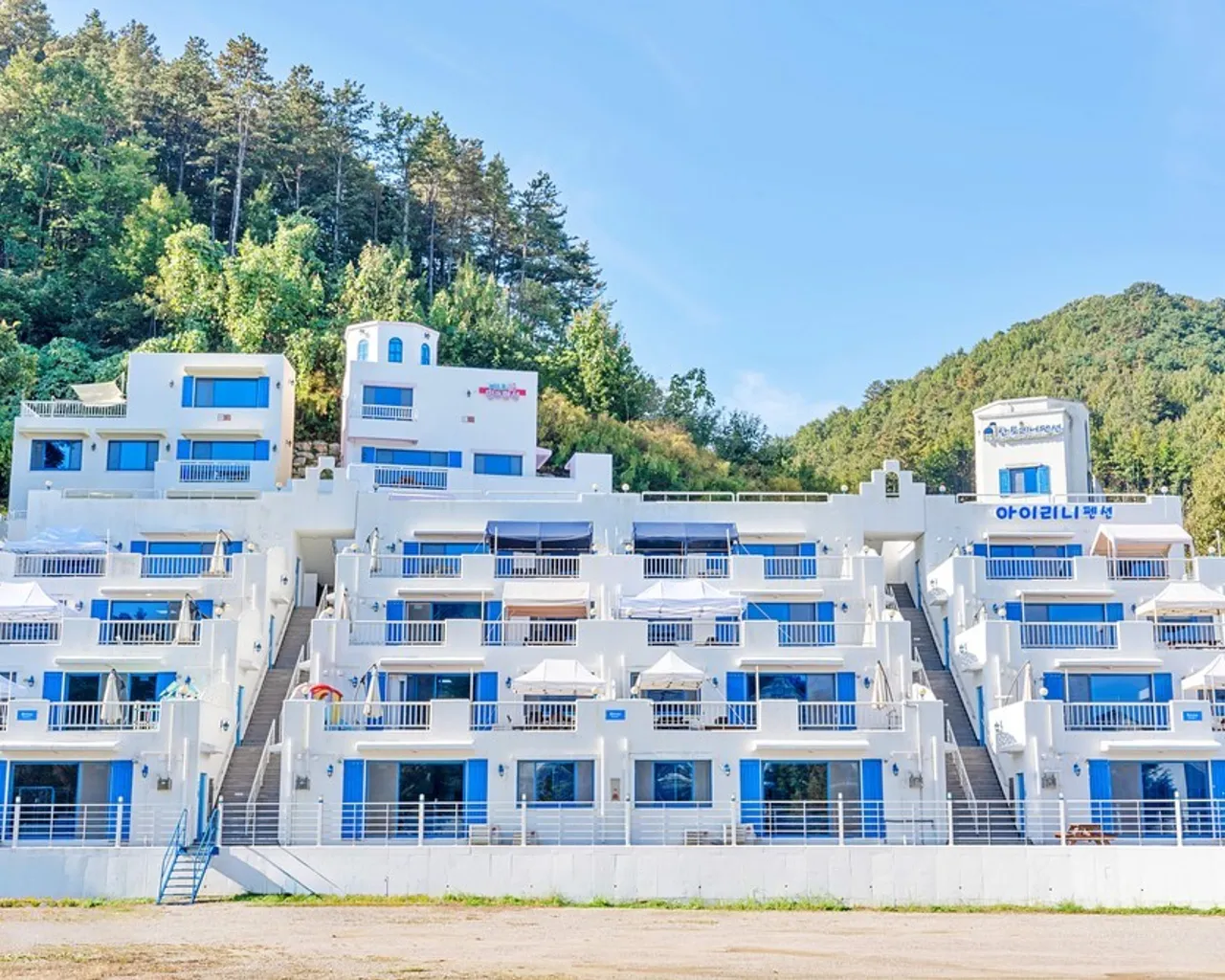 대표 사진