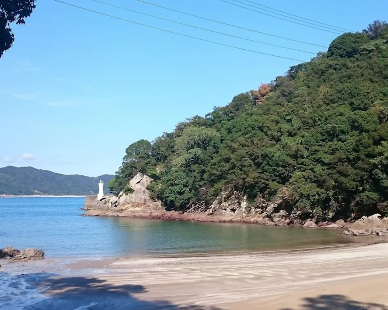 기본 이미지