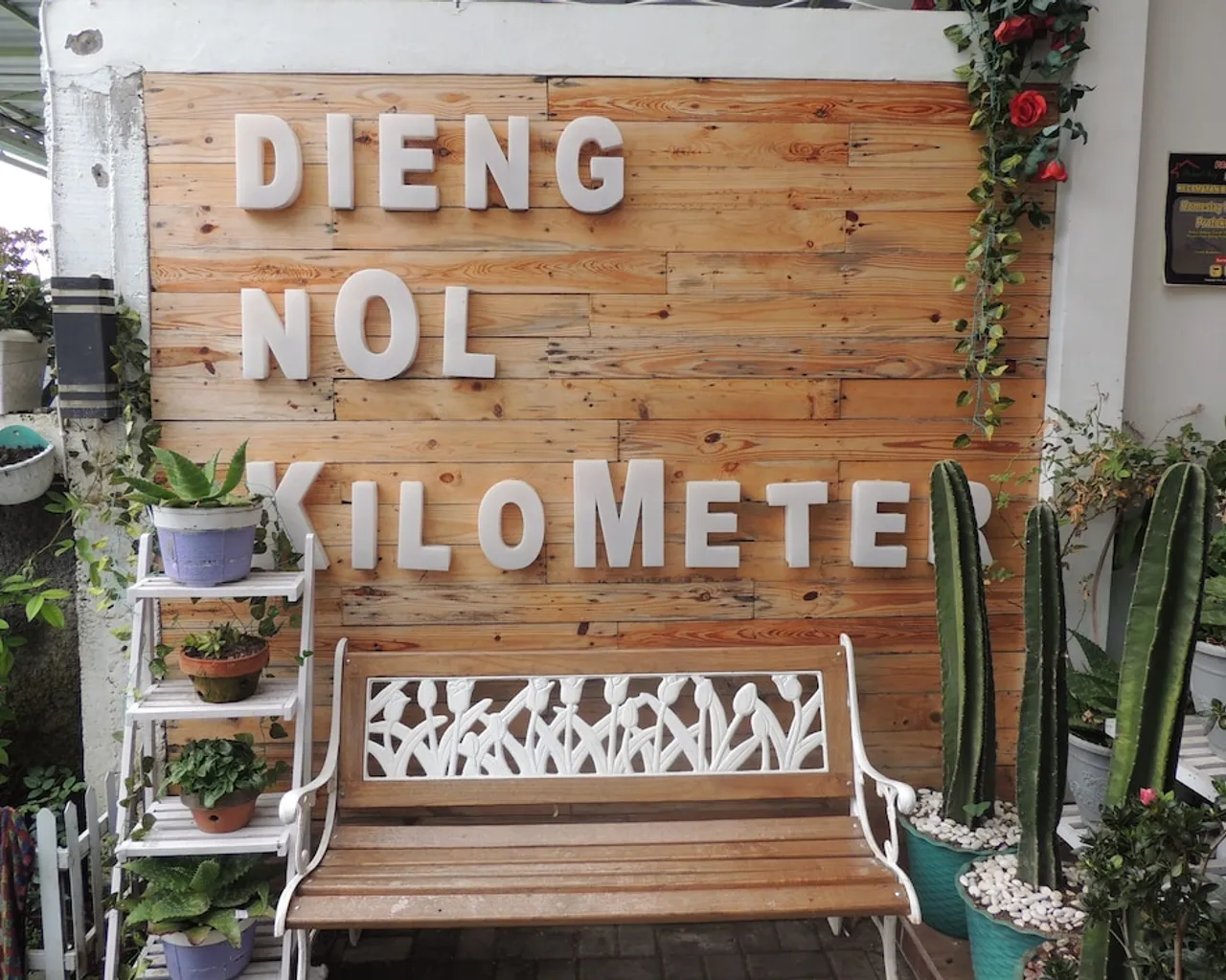 기본 이미지