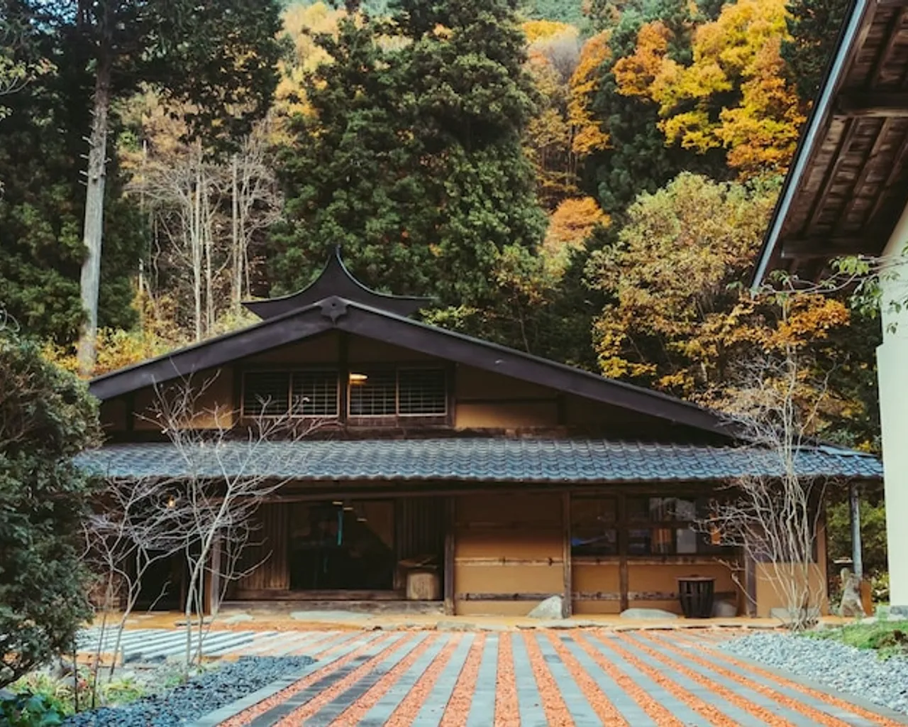기본 이미지