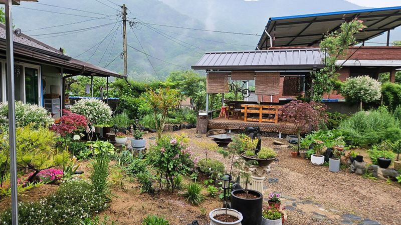 전경