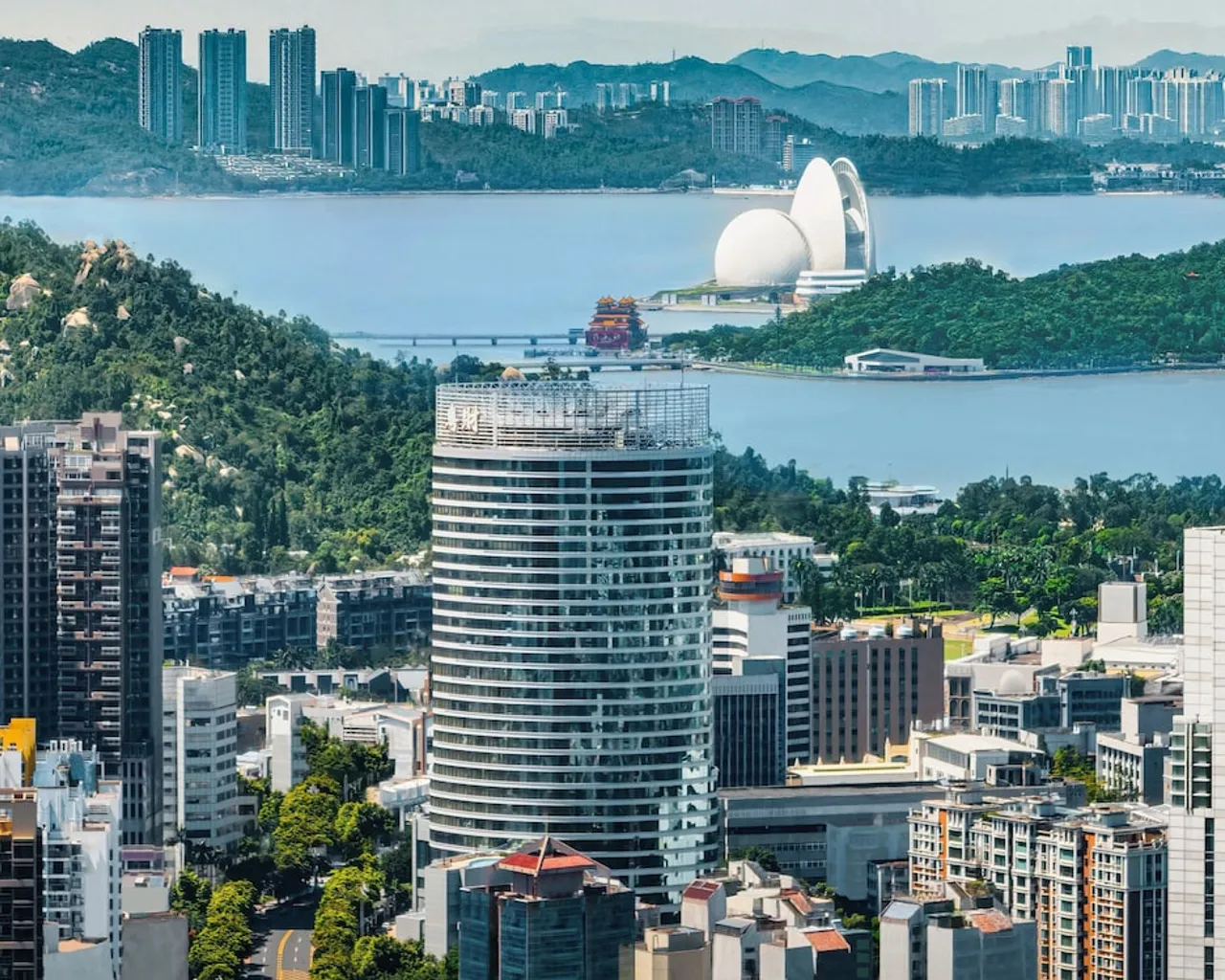 기본 이미지