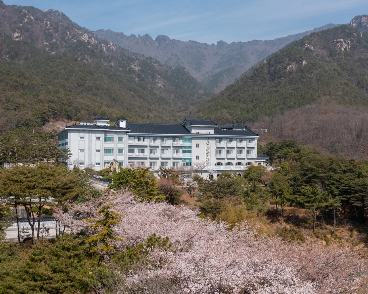대표 사진