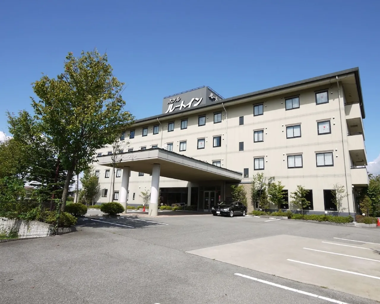 기본 이미지