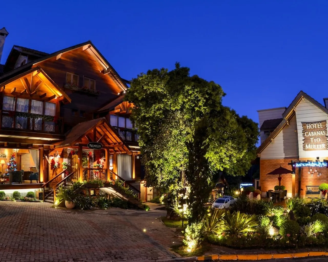 기본 이미지