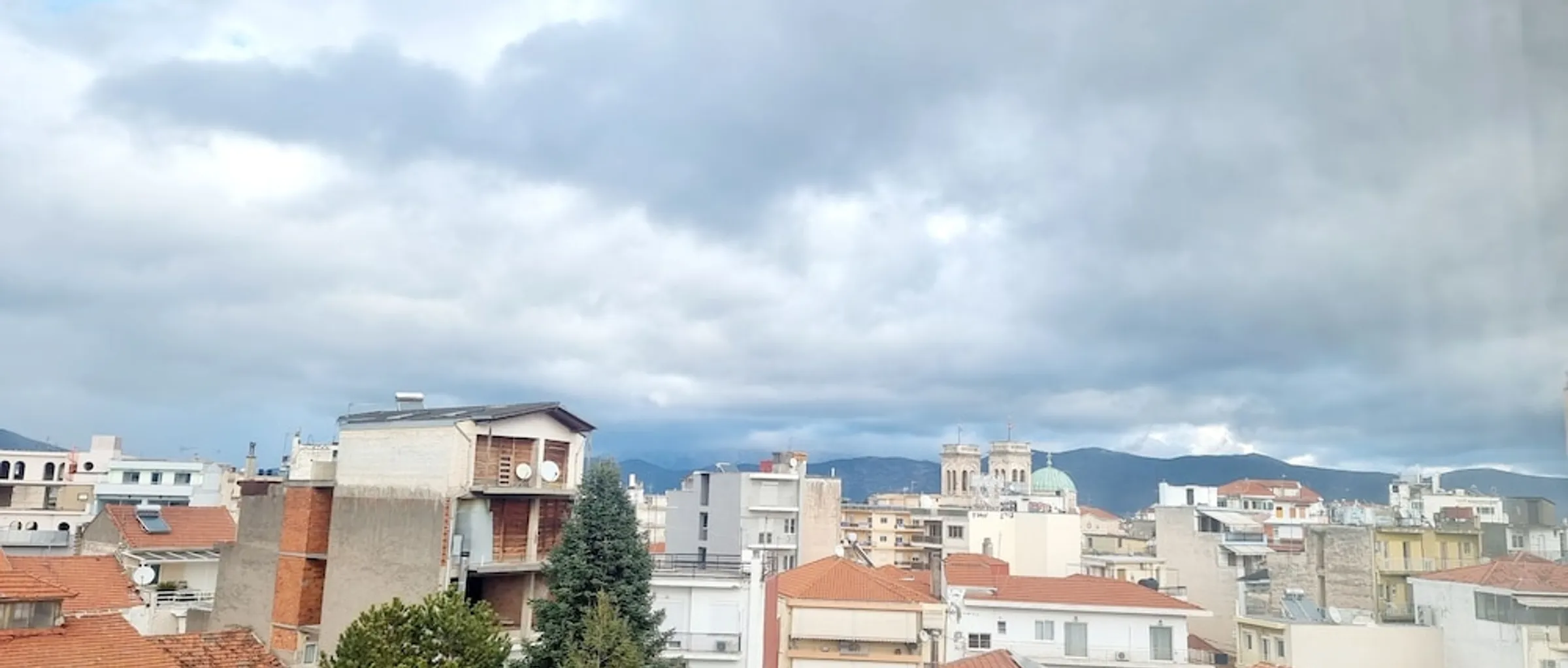 기본 이미지