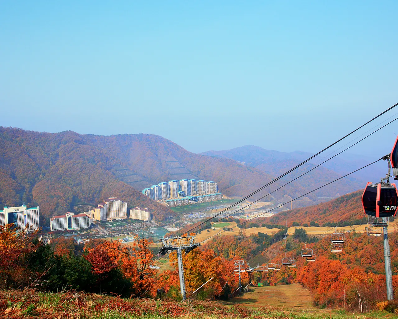 대표 사진