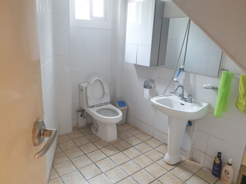 럭셔리 트리하우스