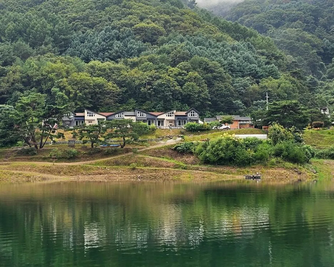 대표 사진