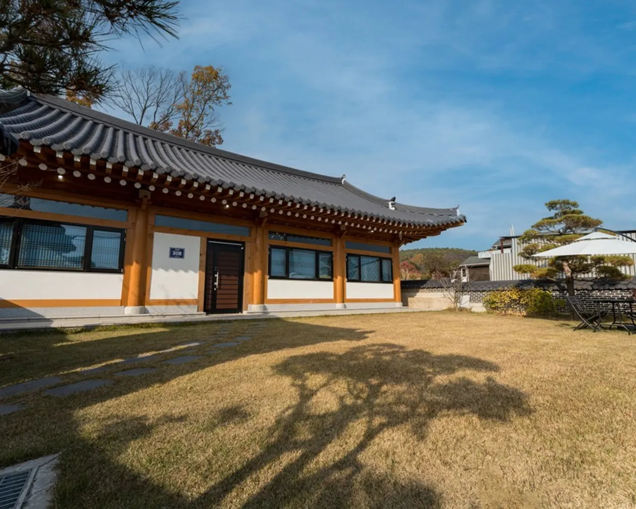 대표 사진