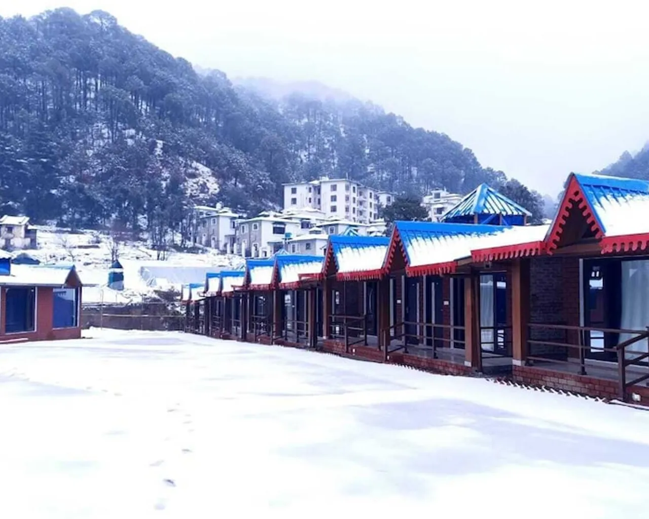 기본 이미지