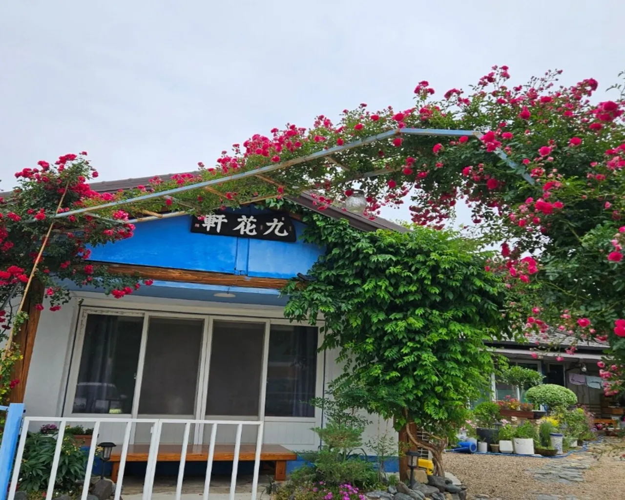 대표 사진