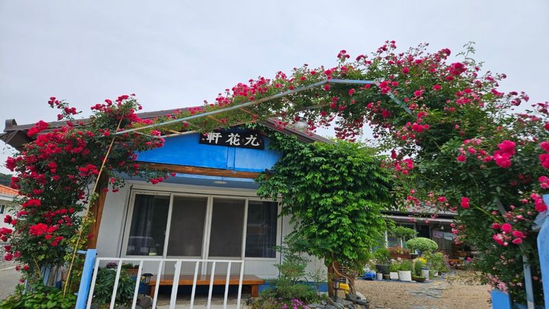 대표사진