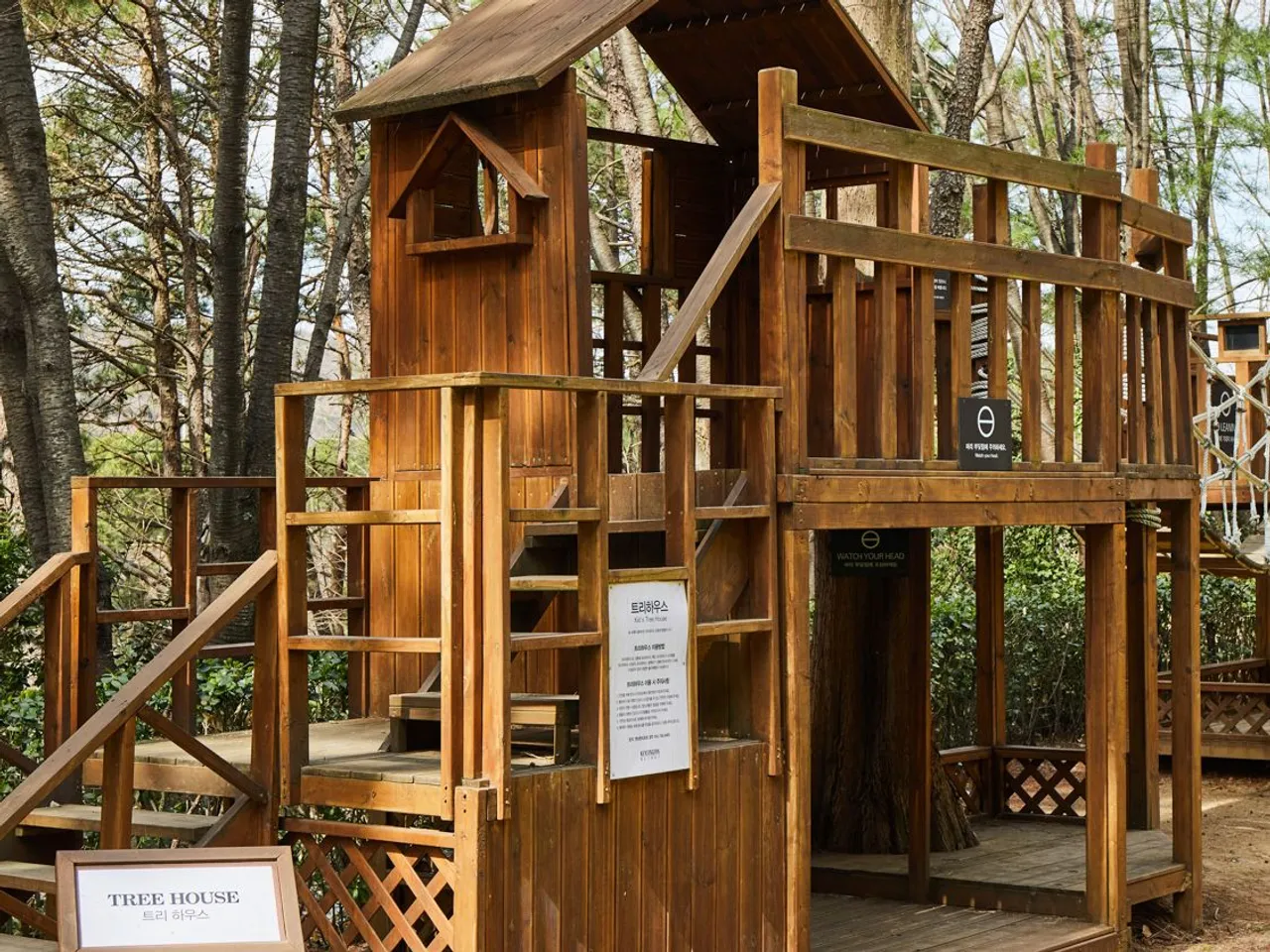 켄싱턴리조트 경주 사진