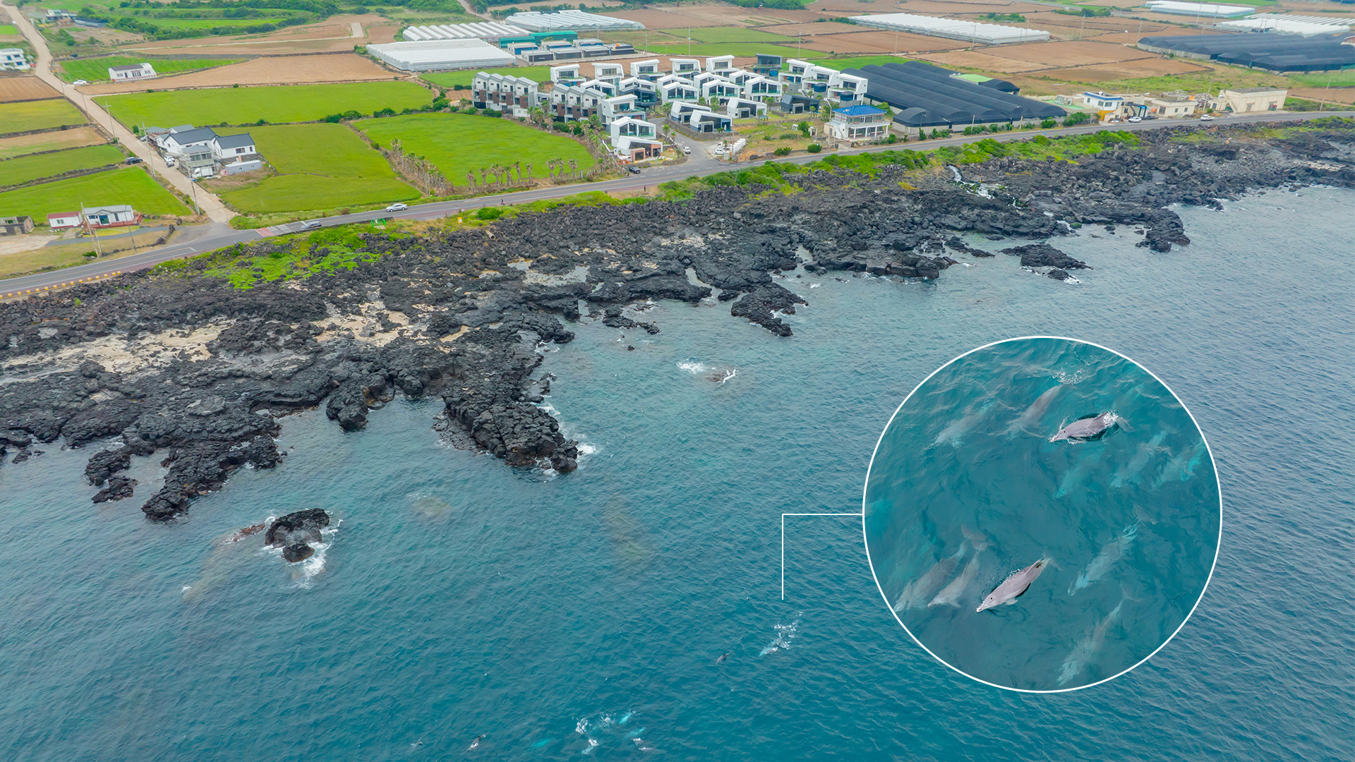 서귀포 스테이 디앤디 풀빌라 3