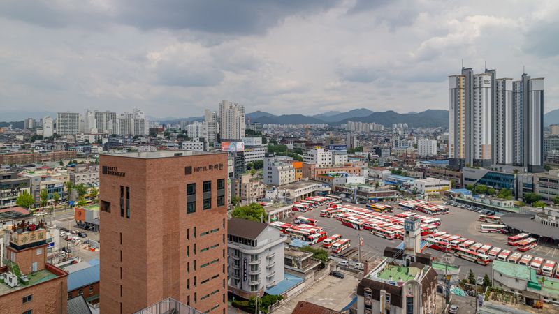 기타