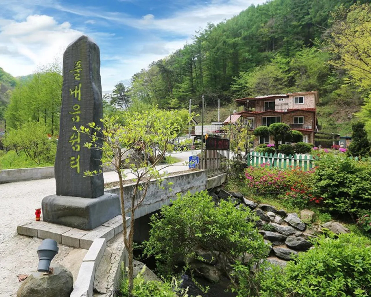 대표 사진