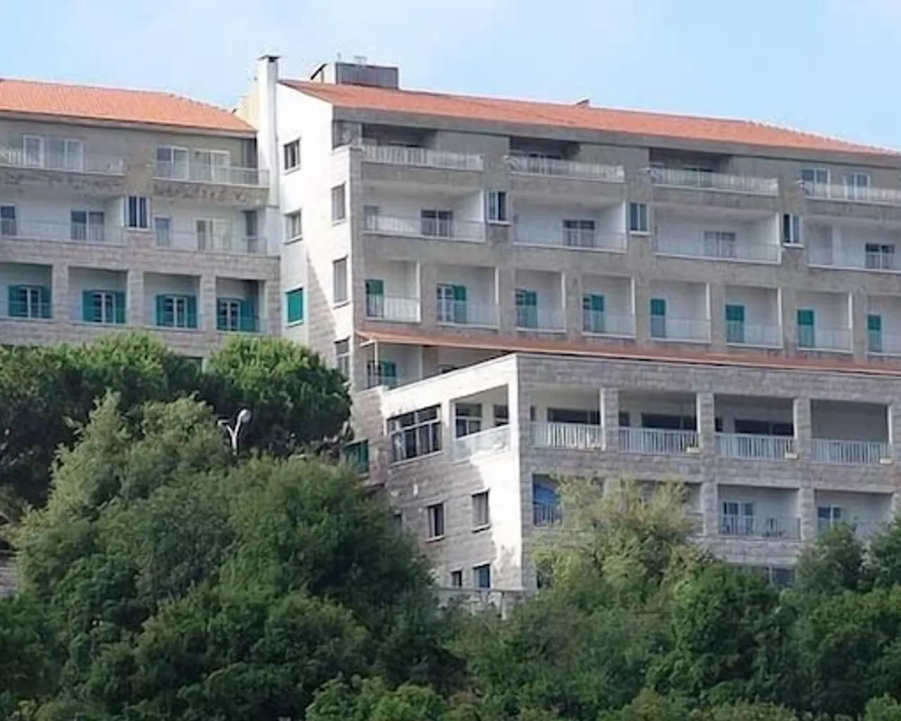 기본 이미지
