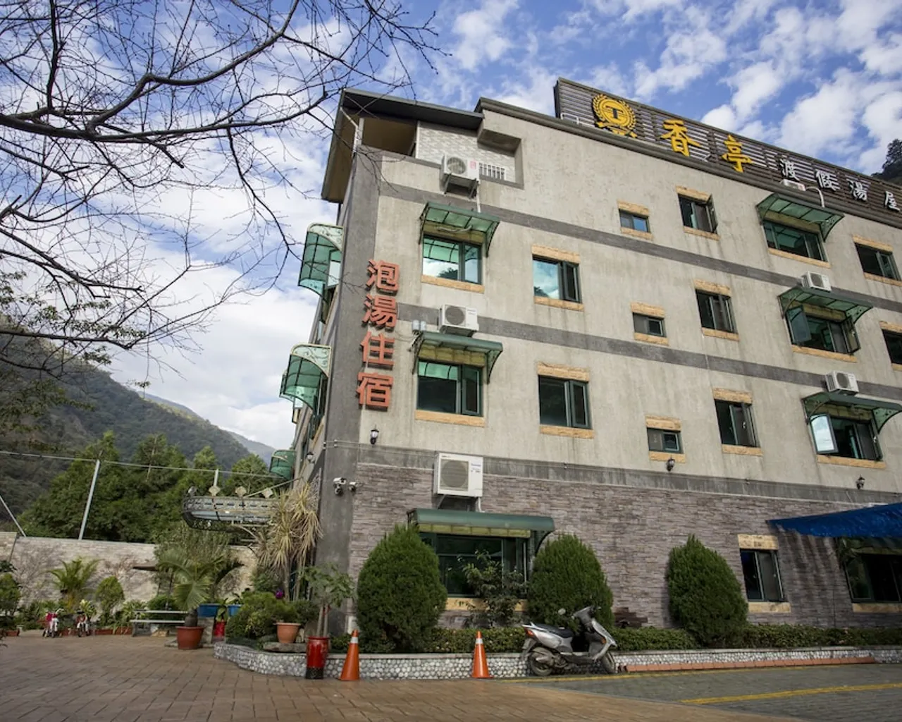 기본 이미지