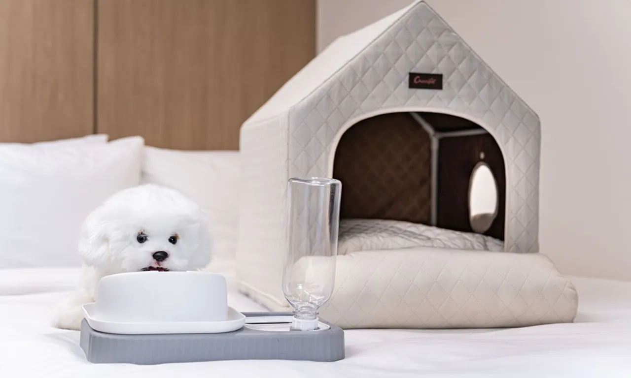 아카이브4H 호텔 부산 사진